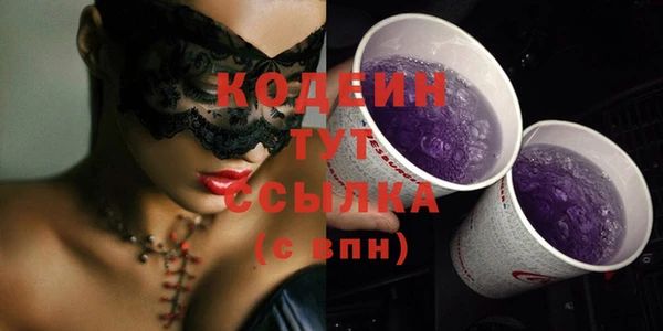 амф Новозыбков