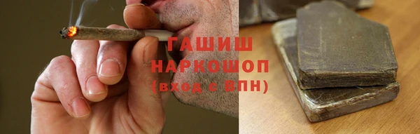 амф Новозыбков