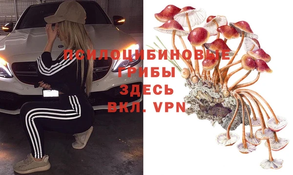 амф Новозыбков