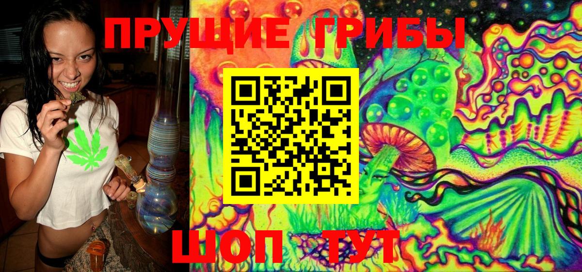купить наркотики цена  Галлюциногенные грибы GOLDEN TEACHER  Семилуки  Вход с VPN  Галлюциногенные грибы Cubensis 